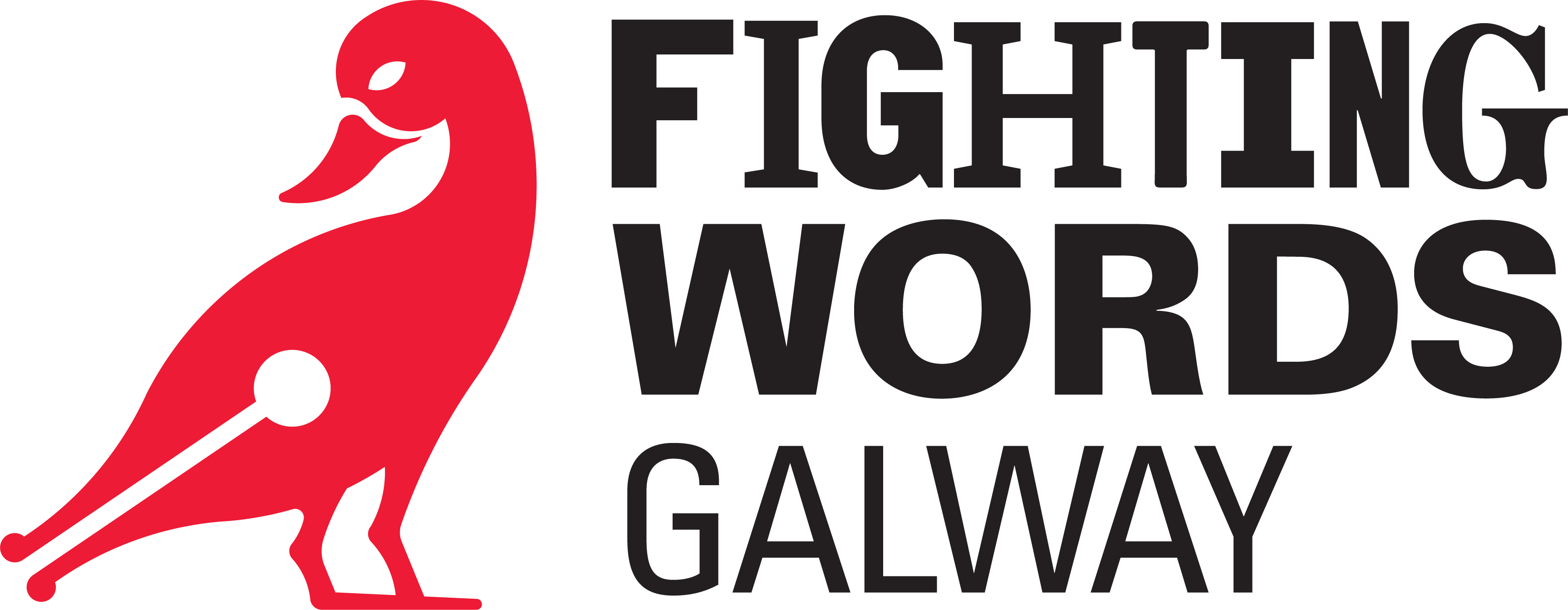 fighting-words-story-writing-workshops-galway-arts-centre