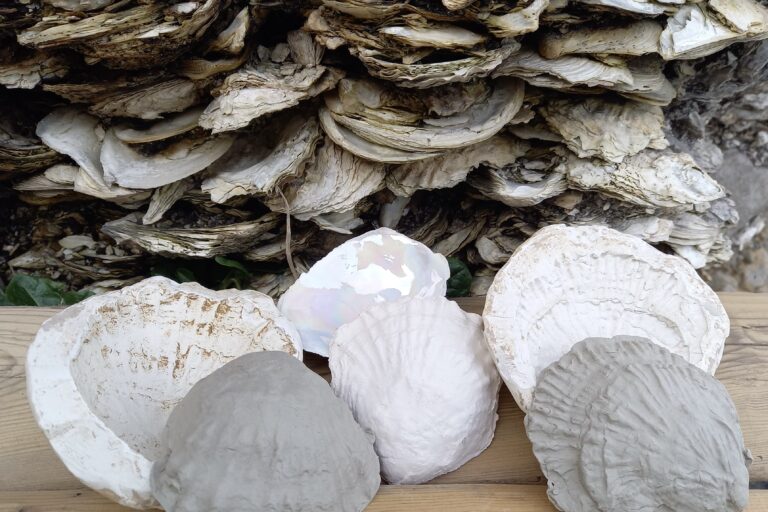 Sorry, no alt text is available for this image