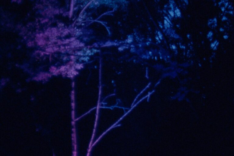 Sorry, no alt text is available for this image