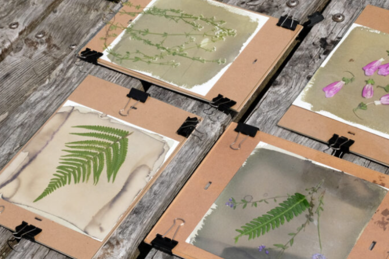 Sorry, no alt text is available for this image